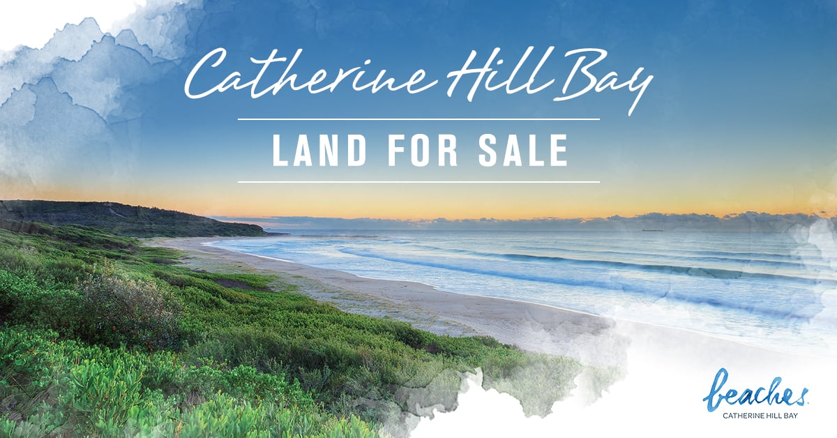 Catherine Hill Bay Land for Sale
